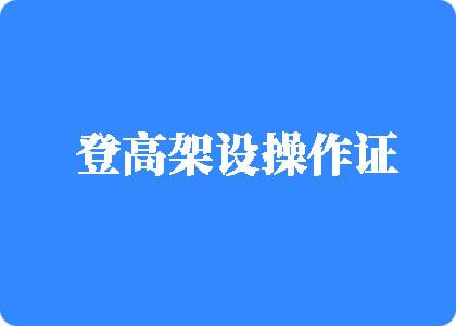 啊啊日我视频登高架设操作证